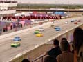 Campionato minicar Binetto ott 08 (082)
