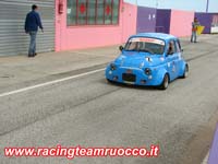 cminicar binetto  (5)